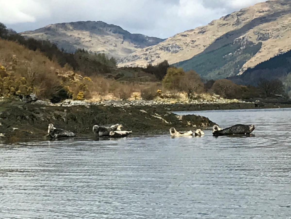 Carrick Farm Hotel Lochgoilhead Buitenkant foto